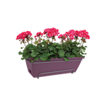 barcelona allin1 50cm maple purple